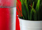 2016-01 IMG 0579 La-Grande-Motte-Ok : carafe, eau, jaune, plante, rouge, table, tasse, vert