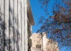 2016-01 IMG 0656 Montpellier-Ok : France, Herault, Languedoc-Roussillon, Montpellier, arbre, immeuble, ombre