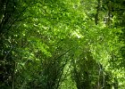 20160716 DSC 8011 Exmes ok : Exmes, basse-normandie, nature