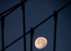 2016-08 DSC 0062 La-Grande-Motte-Ok : Europe, France, Hérault, La Grande Motte, Languedoc Roussillon, lune, moon, night, nikon, nikond5500, nikonpassion, nikonphotography, nuit