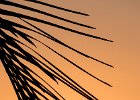 2016-08 P1050272 La-Grande-Motte-Ok : Europe, FZ1000, France, Hérault, La Grande Motte, Languedoc Roussillon, Lumix, LumixFZ1000, Panasonic, lever de soleil, orange, silhouette, sunrise