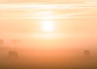 2016-11 DSC 1415 Camargue-Ok : Camargue, Europe, France, Gard, Languedoc Roussillon, lever de soleil, nikon, nikond5500, nikonpassion, nikonphotography, soleil, sun, sunrise