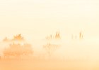 2016-11 DSC 1431 Camargue-Ok : Camargue, Europe, France, Gard, Languedoc Roussillon, lever de soleil, nikon, nikond5500, nikonpassion, nikonphotography, soleil, sun, sunrise
