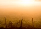 2016-11 DSC 1442 Camargue-Ok : Camargue, Europe, France, Gard, Languedoc Roussillon, lever de soleil, nikon, nikond5500, nikonpassion, nikonphotography, soleil, sun, sunrise