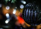 2015-12--- DSC 2037 Christmas-lights ok