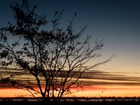 2017-10 DSC 6251 Camargue-Sunrise-Ok
