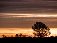 2017-10 DSC 6283 Camargue-Sunrise-Ok
