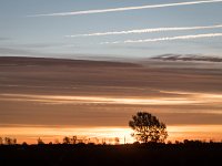 2017-10 DSC 6286 Camargue-Sunrise-Ok