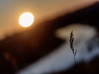 2018-03 DSC4386 Camargue-Sunrise-Ok  www.nathalie-photos.com