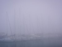 LGM-Fog-Morning