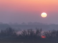 2019-02 DSC 1700 Camargue-Sunrise-Ok