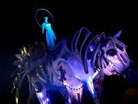 2019-08 NZ6 7347 La-Grande-Motte Carnaval Parade-de-Nuit-Ok