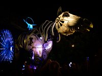 2019-08 NZ6 7389 La-Grande-Motte Carnaval Parade-de-Nuit-Ok