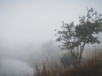 2019-10 DSC 2961 Camargue-Morning-Fog-Ok